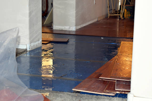 Professional Flood Cleanup technician working in Adamsville, OH